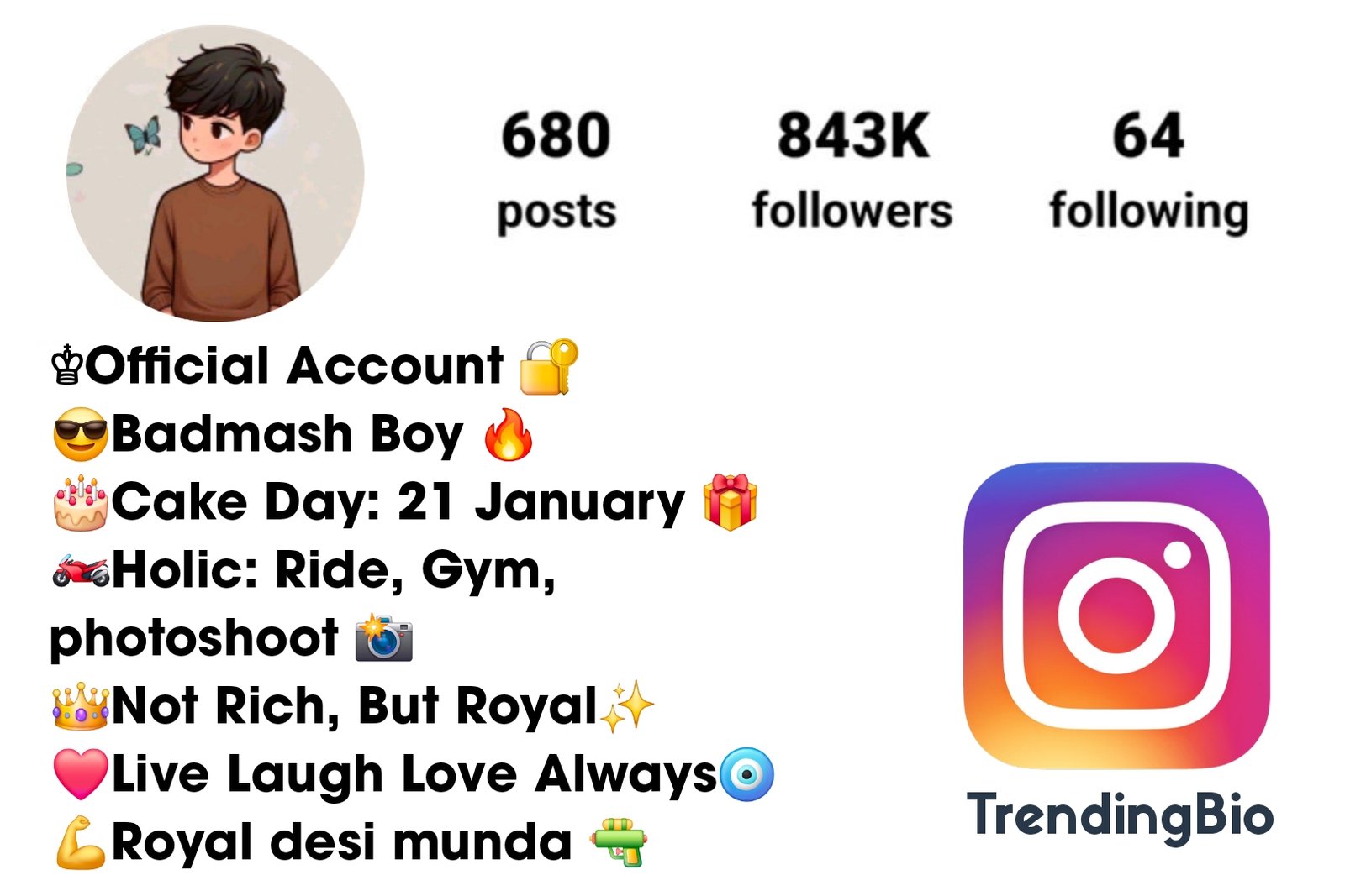 Instagram Bio Style For Boys