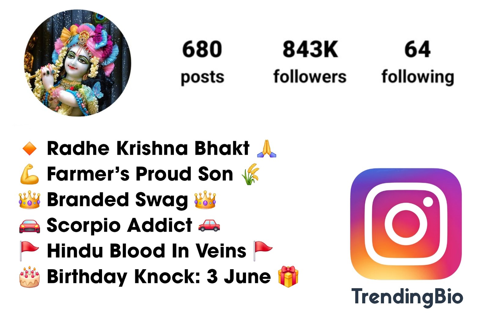 Krishna sada Sahayte Instagram bio (3) कृष्ण सदा सहायते Bio For Instagram